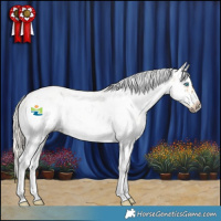 Horse Color:White Spotted Chocolate Palomino Dun Sabino Splash Frame Rabicano