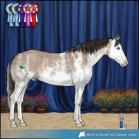 Horse Color:White Spotted Liver Red Dun Splash