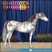 Horse Color:Liver Chestnut Sabino 