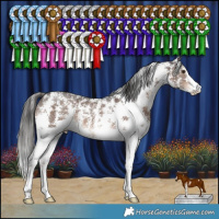 Horse Color:Liver Chestnut Sabino
