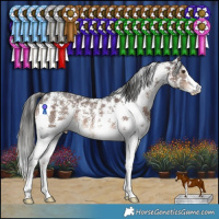 Horse Color:Liver Chestnut Sabino