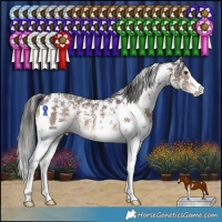 Horse Color:Liver Chestnut Sabino