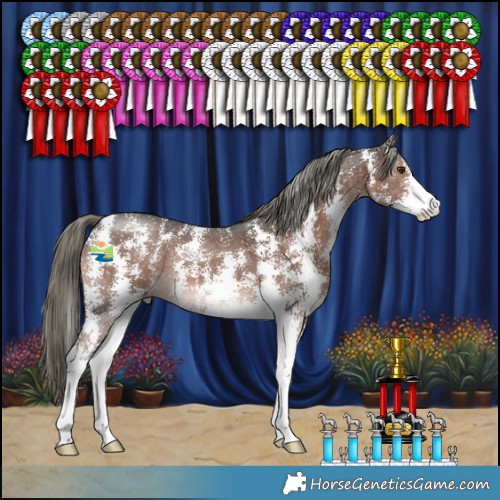 Horse Color:Liver Chestnut Mushroom Sabino 