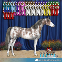 Horse Color:Liver Chestnut Mushroom Sabino 