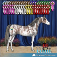 Horse Color:Liver Chestnut Mushroom Sabino