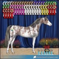 Horse Color:Liver Chestnut Mushroom Sabino