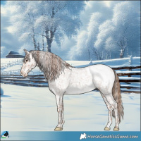 Horse Color:Red Roan Snowcap 