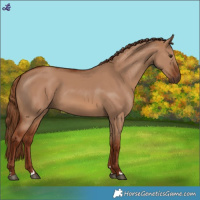 Horse Color:Red Dun 