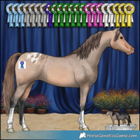 Horse Color:Bay Dun Appaloosa