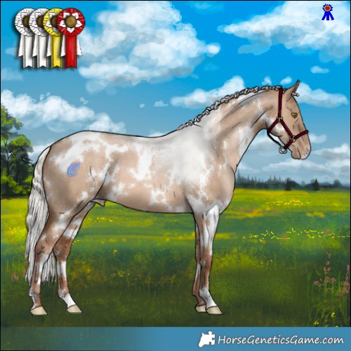 Horse Color:White Spotted Silver Brown Pearl Dun 