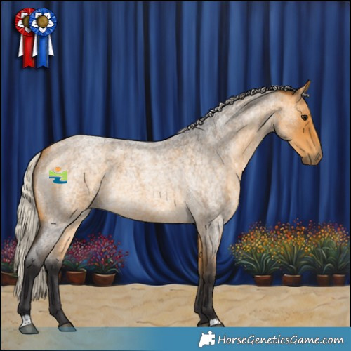 Horse Color:Silver Buckskin Roan 
