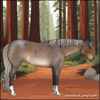 Horse Color:Silver Brown Roan 