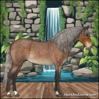 Horse Color:Silver Buckskin Roan 