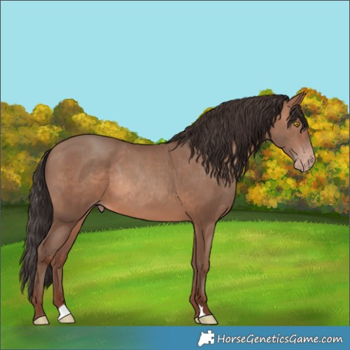 Horse Color:Sable Champagne Rabicano 