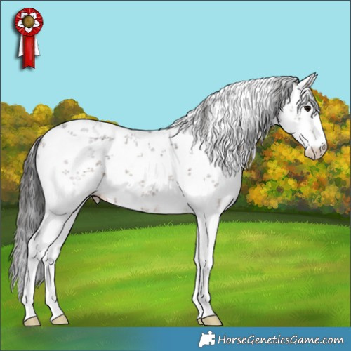 Horse Color:White Spotted Brown Sabino 