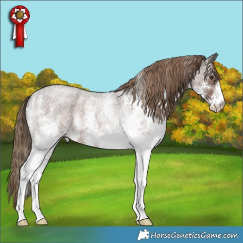 Horse Color:White Spotted Liver Red Roan Rabicano 