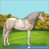 Horse Color:Chocolate Palomino Pearl Dun Tobiano 