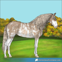 Horse Color:Chocolate Palomino Mushroom Sabino Rabicano 