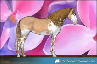 Horse Color:Watercolor Red Dun Splash 