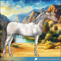 Horse Color:White Spotted Liver Red Dun 