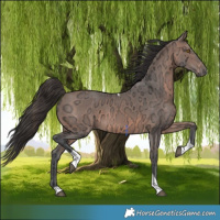 Horse Color:Bay Ice Mushroom Tobiano 