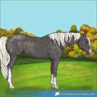 Horse Color:White Spotted Liver Chestnut Ice Mushroom 