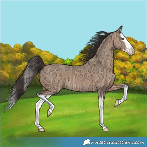 Horse Color:Bay Ice Dun Splash 