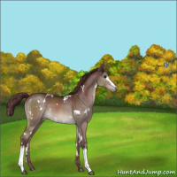 Horse Color:White Spotted Chocolate Brown Dun Mushroom 