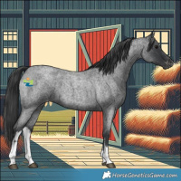 Horse Color:White Spotted Blue Roan Appaloosa 