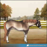 Horse Color:White Spotted Liver Red Onyx Tobiano Rabicano