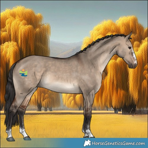 Horse Color:Brown Dun 