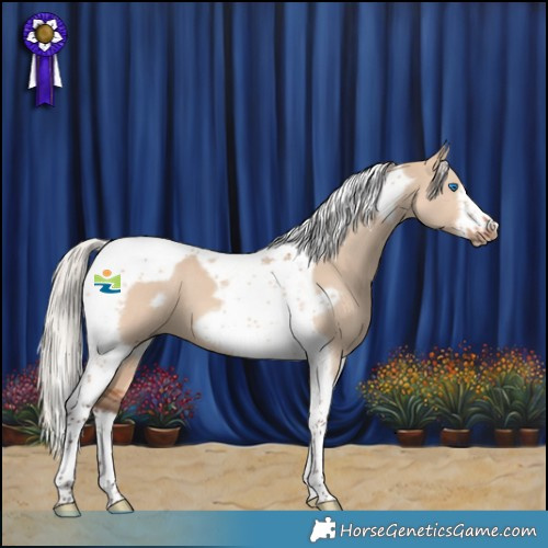 Horse Color:Silver Brown Dun Tobiano Frame 