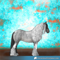 Horse Color:Blue Roan Tobiano 
