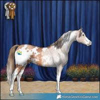 Horse Color:White Spotted Liver Chestnut Pearl Sabino
