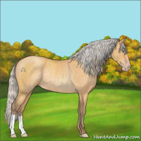 Horse Color:Silver Sable Cream Champagne Rabicano 
