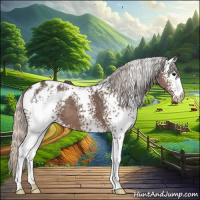 Horse Color:White Spotted Silver Black Appaloosa 