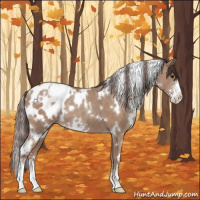 Horse Color:White Spotted Classic Champagne Sabino Appaloosa 