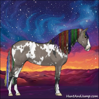 Horse Color:Painted White Spotted Grullo Sabino 
