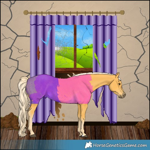 Horse Color:Palomino 