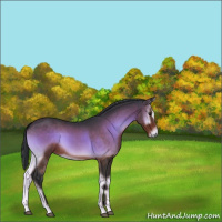 Horse Color:Brown Onyx Sabino 