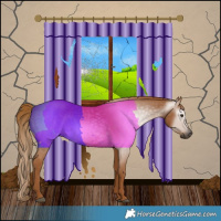 Horse Color:Gray Chestnut 