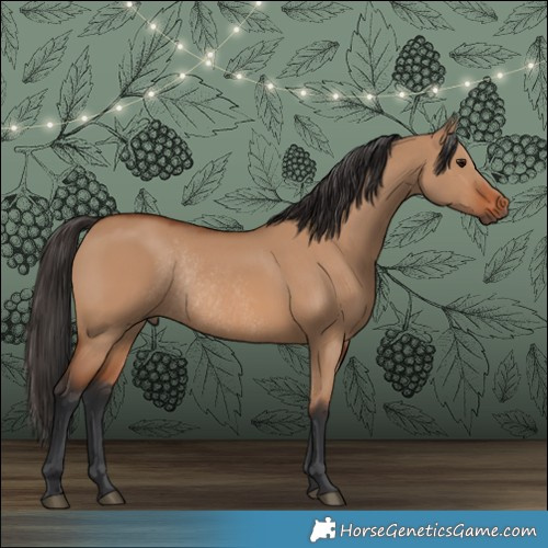 Horse Color:Bay Dun Rabicano 