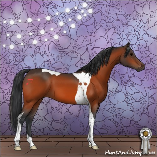 Horse Color:Bay Tobiano 