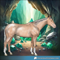 Horse Color:Silver Sable Champagne Rabicano 