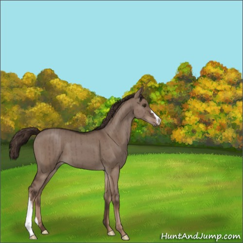 Horse Color:Liver Red Dun Brindle 