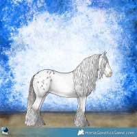 Horse Color:Sable Champagne Ice Onyx Appaloosa Rabicano 