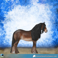 Horse Color:Liver Chestnut Sabino Rabicano 