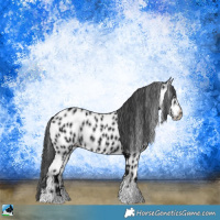 Horse Color:Black Ice Mushroom Appaloosa Rabicano 