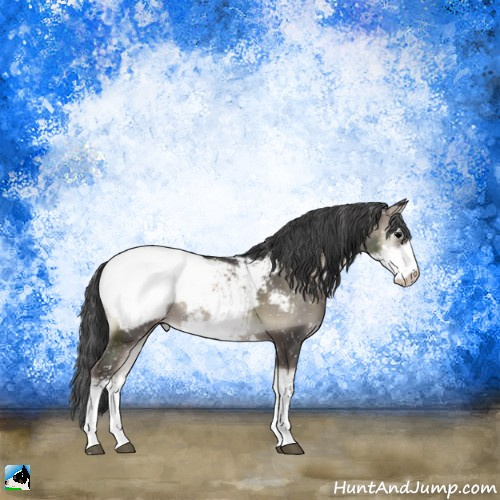 Horse Color:Blue Onyx Sabino Appaloosa Rabicano 