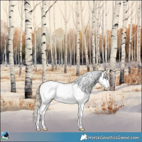 Horse Color:Chocolate Palomino Sabino Appaloosa 